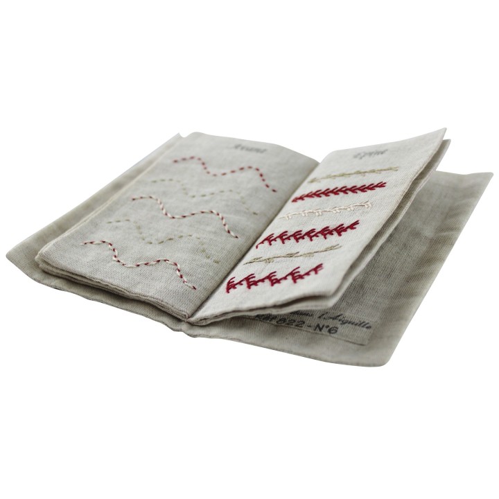 Kit de broderie: leçon de points (25 points)