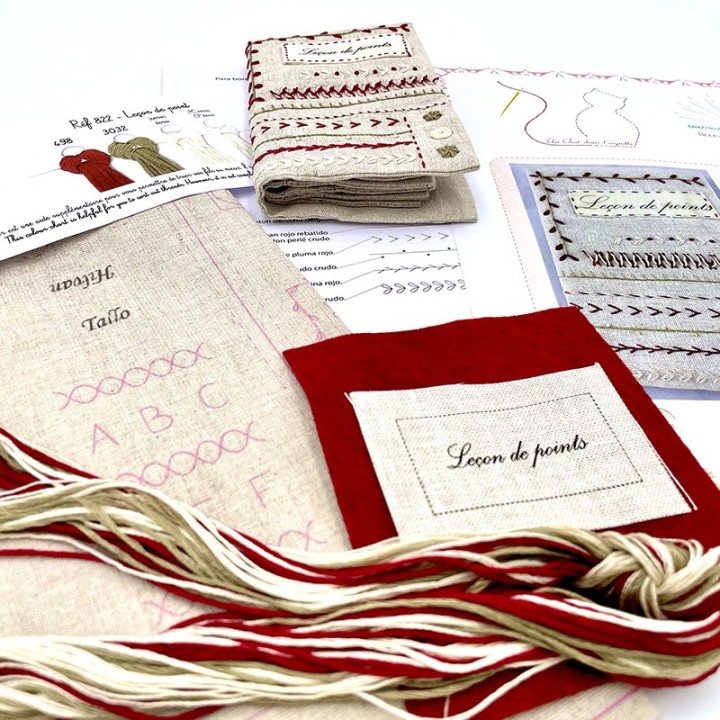 Kit de broderie: lesson of stitches (25 stitches)