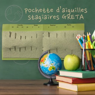 pochette d'aiguilles 