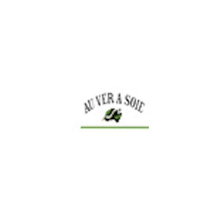 silk cord thread Trébizond 203 linden green