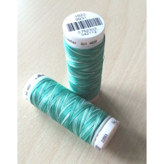 Fil multi couleur  dominante vert 9931 