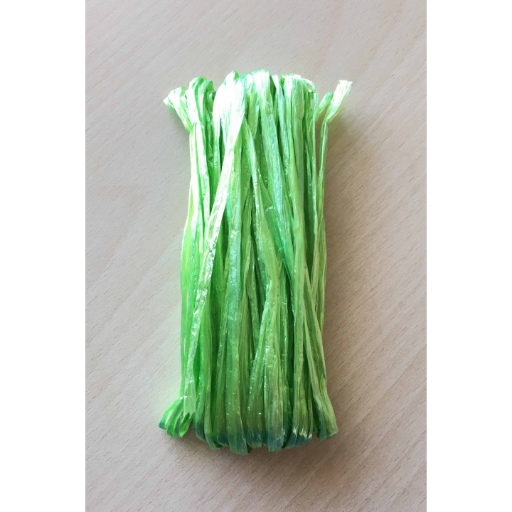 Raphia irisé vert