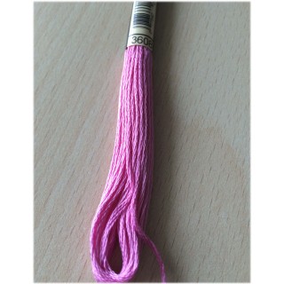 3608 rose prune moyen
