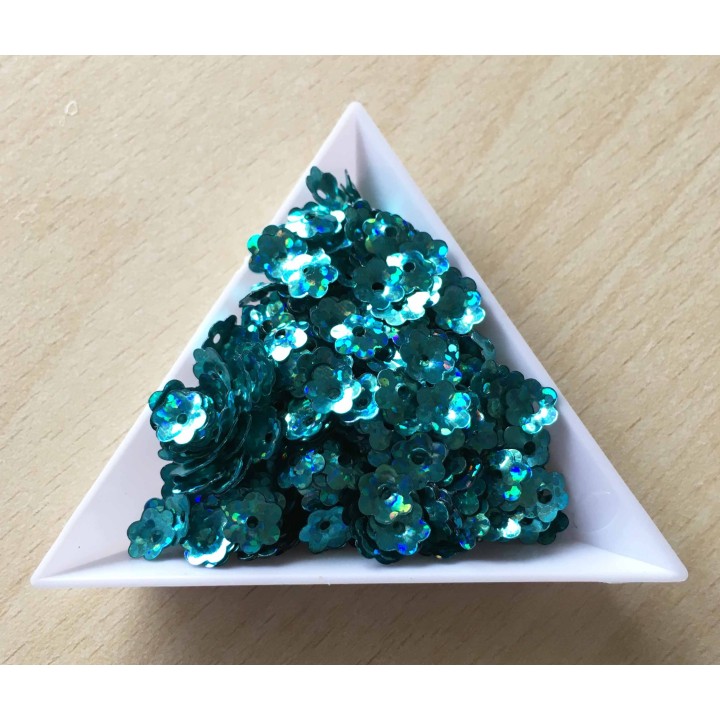 paillette "trou en haut" couleur 