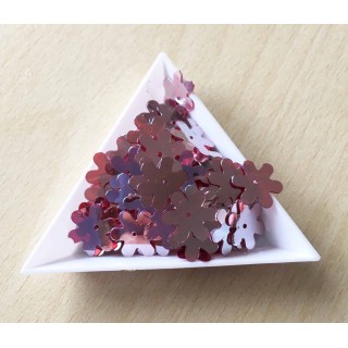 paillette "trou en haut" couleur 
