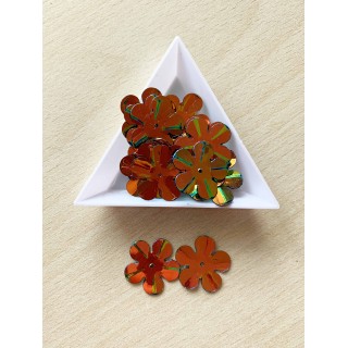 paillette "trou en haut" couleur 