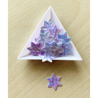 paillette "trou en haut" couleur 