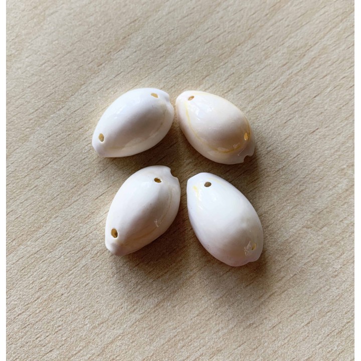 coquillages