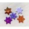 paillettes étoile
